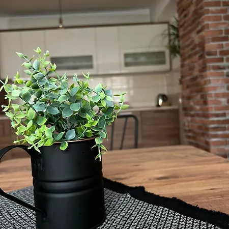Elite Spirit Apartment *