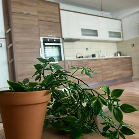 Elite Spirit Apartment